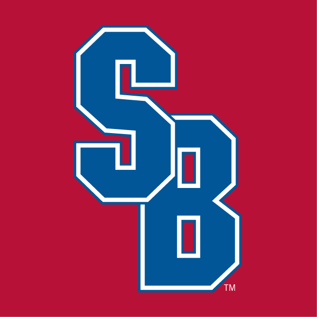 Stony Brook Seawolves 2008-Pres Alternate Logo iron on transfers for T-shirts